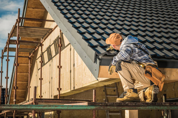 Best Local Roofing Companies  in Langdon, ND