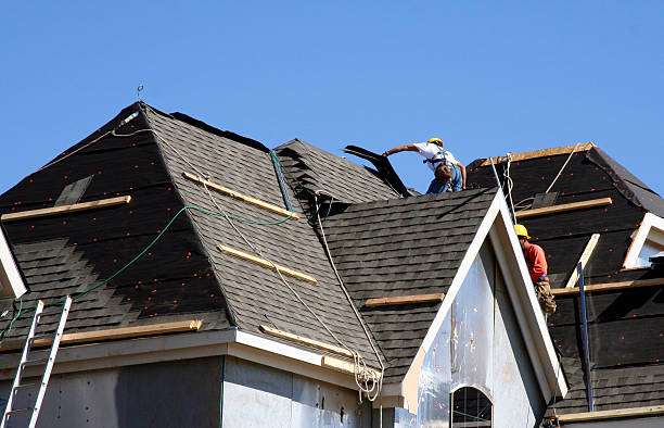 Best Shingle Roofing Installation  in Langdon, ND