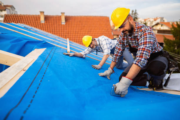 Best Emergency Roof Repair  in Langdon, ND