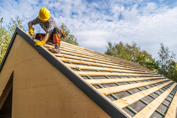 Best Emergency Roof Repair  in Langdon, ND