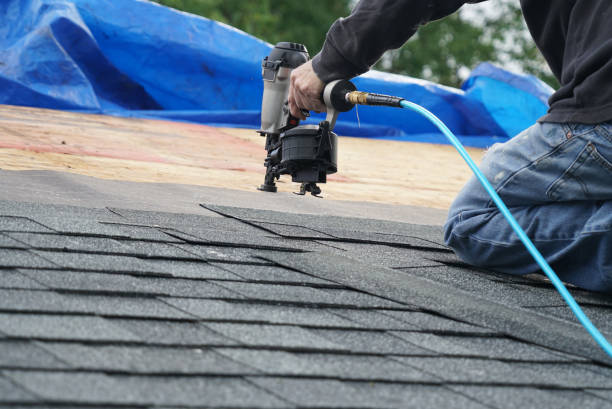 Best Best Roofing Contractors  in Langdon, ND