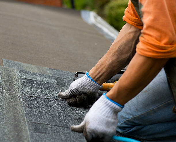 Best Roof Leak Repair  in Langdon, ND