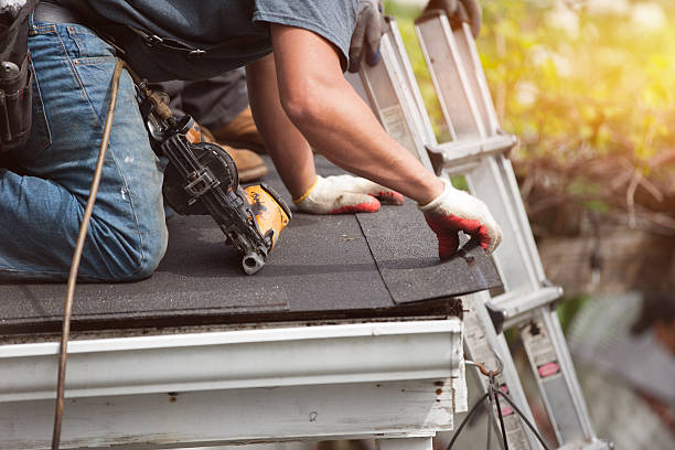 Best Residential Roofing Contractor  in Langdon, ND
