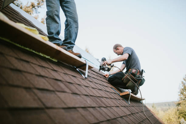 Best Flat Roof Repair Services  in Langdon, ND